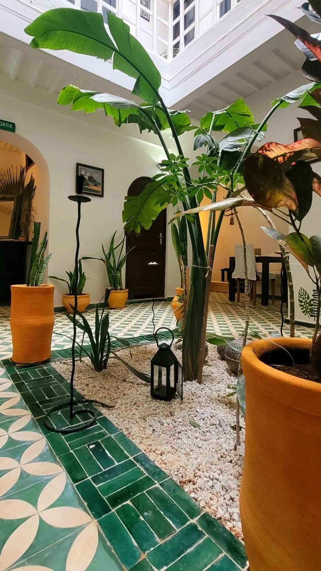 Riad Ocean Medina เอสเซาอิรา ภายนอก รูปภาพ